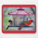Search for feeders mouse mats Cardinal