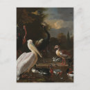 Search for vintage bird paintings postcards Old