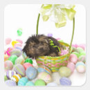 Search for yorkie poos stickers Animal