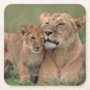 Search for reserve coasters Savannah