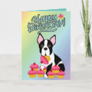 Search for boston terrier cards Animals