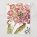Search for primrose postcards Floral