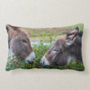 Search for donkey cushions Countryside