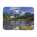 Search for peace rectangular magnets Tranquil