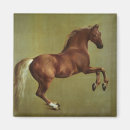 Search for horse race magnets English