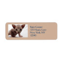 Search for breeds return address labels Cat