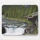 Search for rock mouse mats Horizontal
