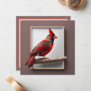 Search for cardinal note cards Nature
