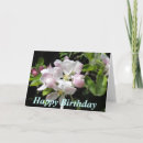 Search for apple blossom birthday cards Floral
