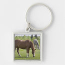 Search for calgary key rings Nature