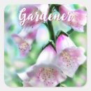 Search for foxglove stickers Pink