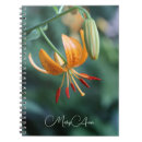 Search for lush photography Flowers