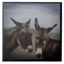 Search for donkey tiles Animals