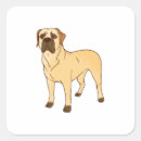 Search for boerboel Boerboel lover