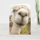 Search for funny farm birthday cards Llama