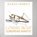 Search for connecticut posters Nature