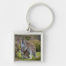 Search for joey key rings Australia