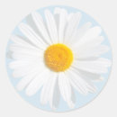 Search for white daisy flower stickers Summer