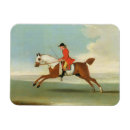 Search for gallop magnets Horses