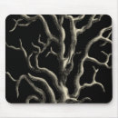 Search for coral sea mouse mats Ocean