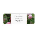 Search for red apple return address labels Green