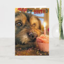 Search for funny cupcake cards Candle