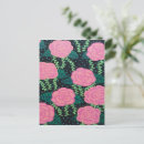 Search for cabbage rose postcards Roses