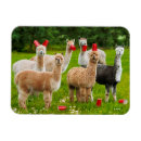 Search for funny beer magnets Animal