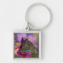 Search for black swallowtail butterfly key rings Close up