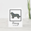 Search for pet sympathy cards Sorry