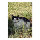 Search for black cat garden art Feline