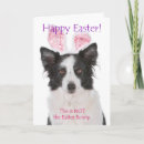 Search for funny dog easter cards Pet