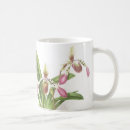 Search for ladys slipper mugs Botanical