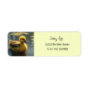 Search for duck return address labels Yellow