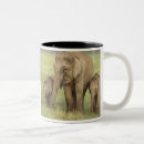 Search for asian elephant mugs Fauna