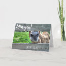 Search for funny photographer cards Nature