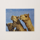 Search for camel puzzles Cairo