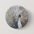 Search for bird pet badges Exotic
