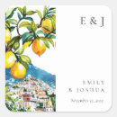 Search for coast stickers Lemon