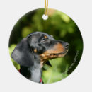 Search for miniature dachshund christmas tree decorations Puppy