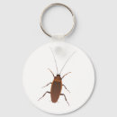 Search for roaches key rings Insect
