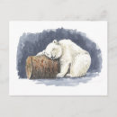 Search for watercolor bear postcards Wildlife