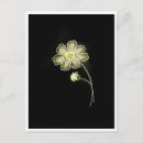 Search for glow postcards Yellow