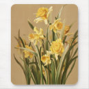 Search for daffodil electronics Yellow flowers