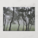 Search for back lit postcards Tranquil scene