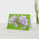 Search for agapanthus cards Lily