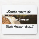 Search for grosso Mato grosso
