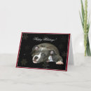 Search for pitbull cards Staffordshire