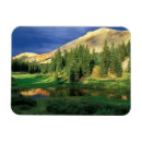 Search for nancy magnets Landscape
