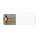Search for australian shepherd puppy return address labels Pet